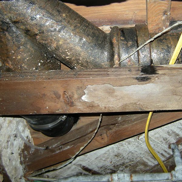 Inspection and Repair